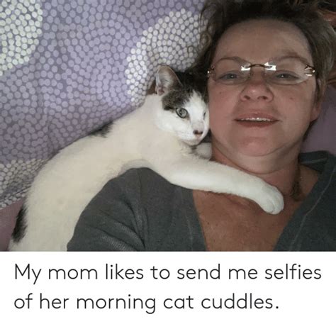 My Mom Likes To Send Me Selfies Of Her Morning Cat Cuddles Mom Meme On Meme