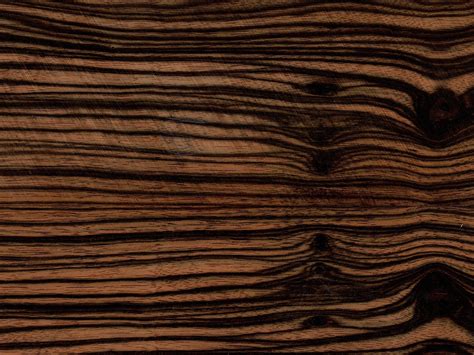 Macassar Ebony Into The Woods Makassar Wood Slab Wood Floors