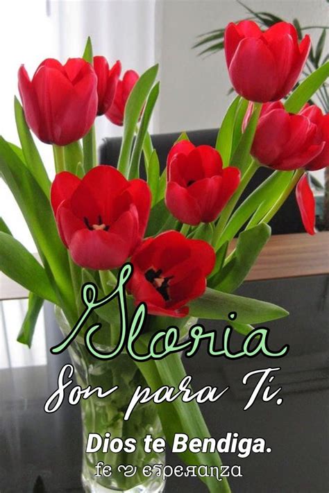 Tulips Plants Ideas Frases God Bless You Happy Birthday Wish