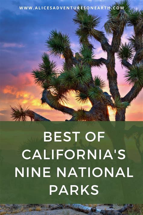 Best Of Californias National Parks All 9 In 2021 California