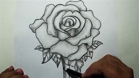 How To Draw A Rose Pencil Drawing And Shading Youtube