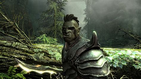 Quiz: Which Skyrim Race Are You? | HubPages