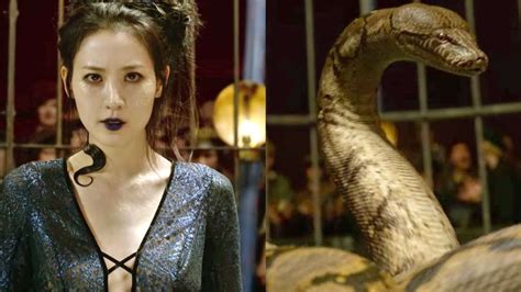 Nagini Strikes Back Jk Rowling And The Perils Of Retconning The Harry