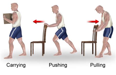 Posture And Body Mechanics