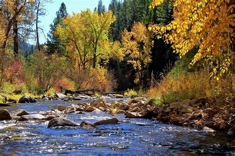 Grimes Creek Autumn Photograph By Ed Riche Fine Art America