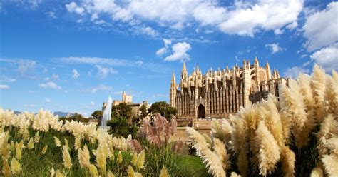 Palma Private Guided Walking Tour Getyourguide