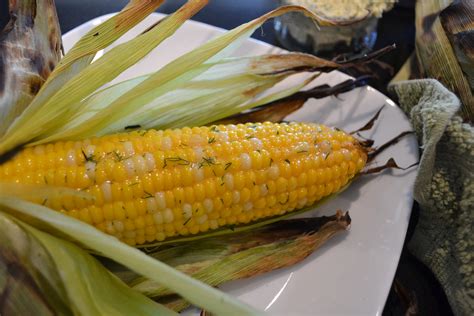 Corn on the cob is a simple vegetable dish that is fast, healthy, and requires minimal cooking skill. Market fresh grilled corn on the cob with creamy dill butter