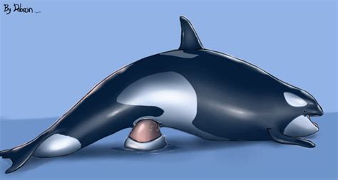Rule 34 Blue Background Cetacean Dildo Dolorcin Female Feral Large