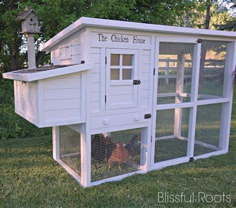 If you're only keeping a few birds or if you really like. {10} Do It Yourself Projects | Chickens backyard, Best ...