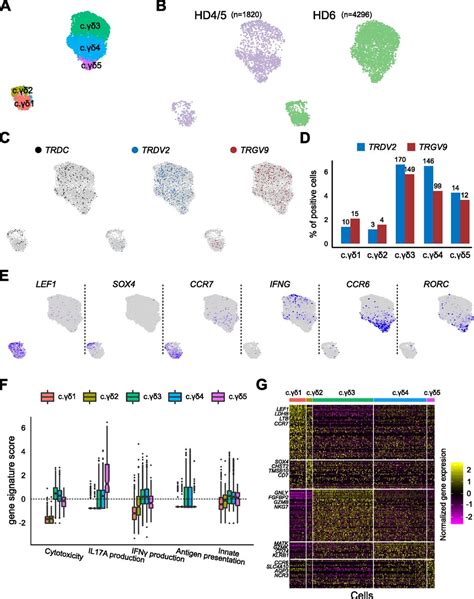 Single Cell Rna Sequencing Of Human Breast Tumour Infiltrating Immune