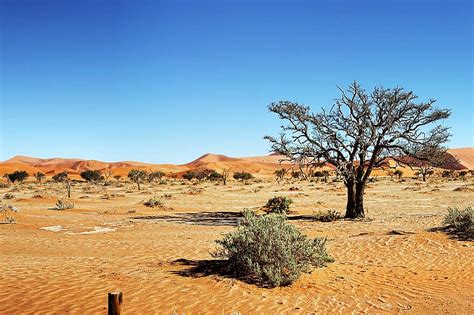 Dams in namibia islands in namibia playgrounds in namibia beaches in namibia canyons in namibia deserts in namibia forests in namibia gardens in namibia geologic formations in. desert, namibia, dunes, sand, sand dune, sossusvlei ...