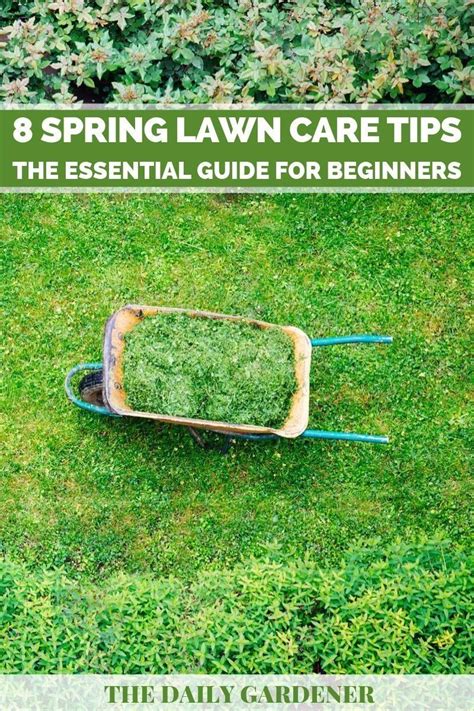 8 Spring Lawn Care Tips The Essential Guide For Beginners The Daily