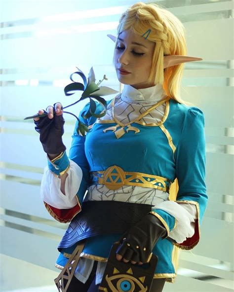 The Legend Of Zelda Breath Of The Wild Princess Zelda Cosplay Costume