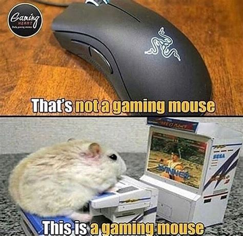 Gaming Mouse Jokes For Kids Vegas Fun Jokes And Riddles