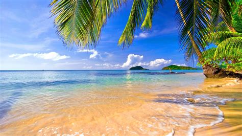 Free Download Tropical Beach Hd Wallpapers 1366x768 For