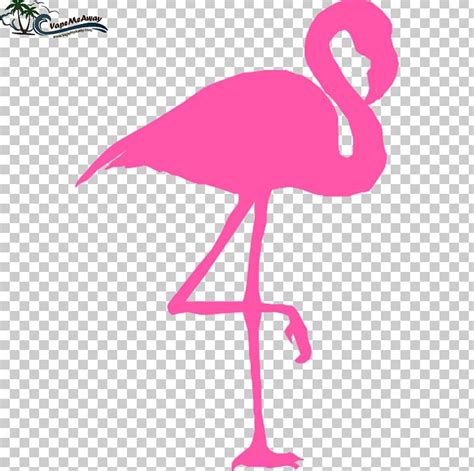 Flamingo Pink Png Clipart Animals Beak Bird Cartoon