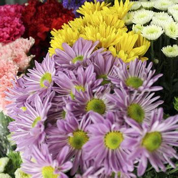 Please browse boyd's flowers funeral flowers to see our wide selection of funeral wreaths, floral sprays or sympathy baskets or arrangements. Florist West Chester PA | Fresh Cut Flowers, Plants ...