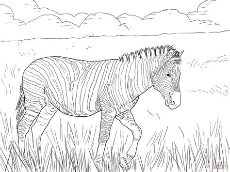 Burchells Plain Zebra Coloring Online