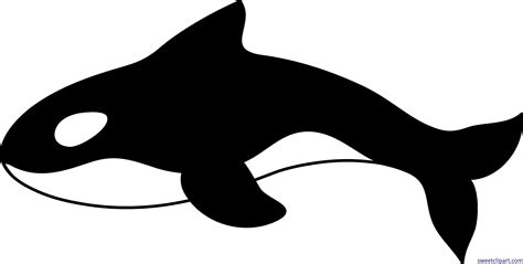 Orca Whale Clip Art