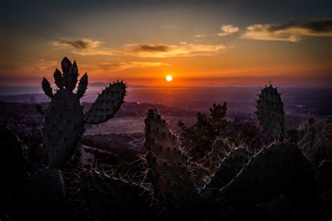 6016x4016 Dry Sunset Sea Horizon Californium Cactus Sun Dusk