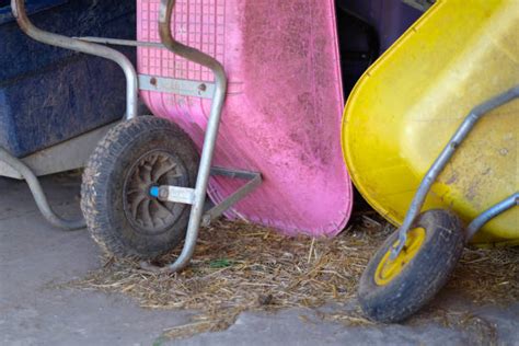 Pink Wheelbarrow Stock Photos Pictures And Royalty Free Images Istock