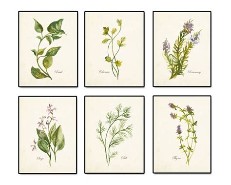 Botanical Print Set Botanical Wall Art Botanical Illustration