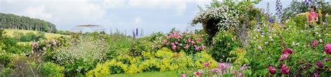 We did not find results for: Botanischer Garten - Ulm University