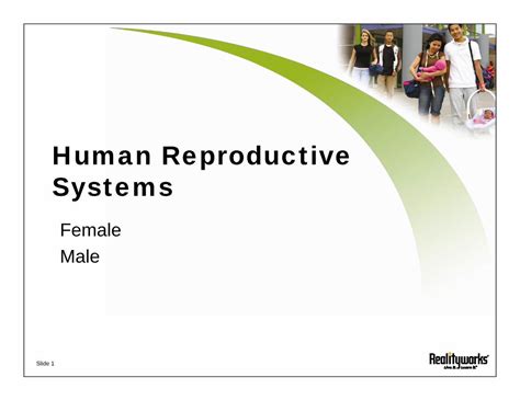 Pdf 1 Human Reproductive Systems Ppt Realityworks Choi · Slide 1