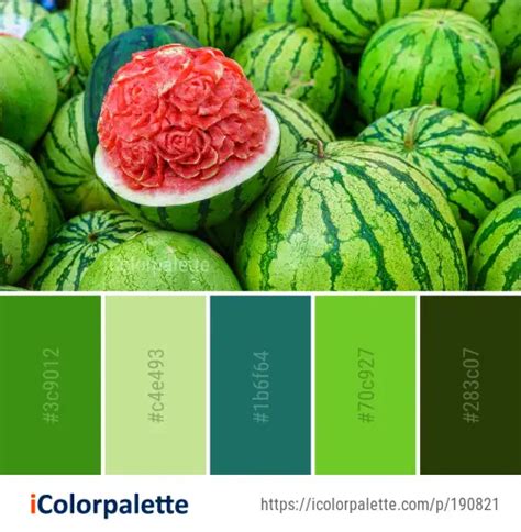 Color Palette Ideas From Watermelon Melon Local Food Image Icolorpalette