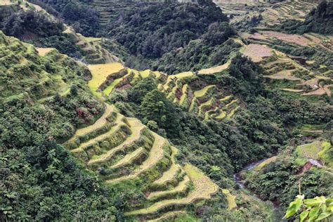 The Breathtaking Ifugao Rice Terraces Of The Philippine Cordilleras