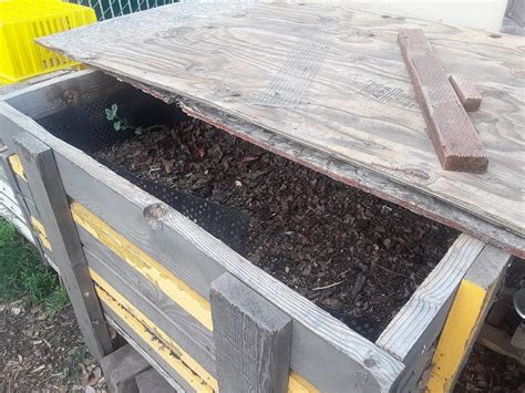 Worm Composting Easier Than You Think Koolau Farmers