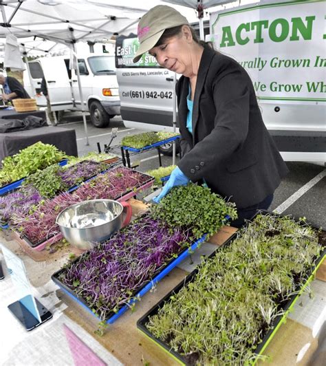 The 2021 acworth farmers market takes place every friday morning starting april 9 and continuing the market is open from 8am to noon and features local produce and products, including fresh fruits. Business up 50% at local Farmers Market