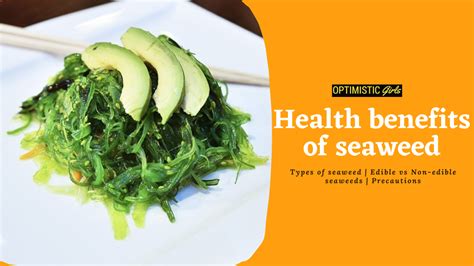 Unlock The Health Benefits Of Seaweed Nutritious Recipes You Can Try