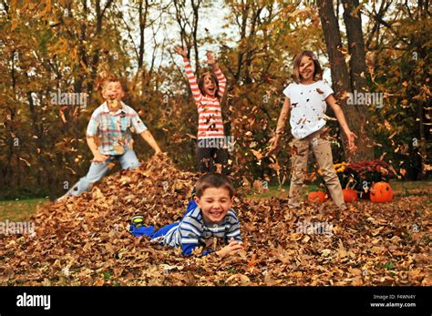 Four Kids Playing In Fall Leaf Pile Stock Photo Alamy