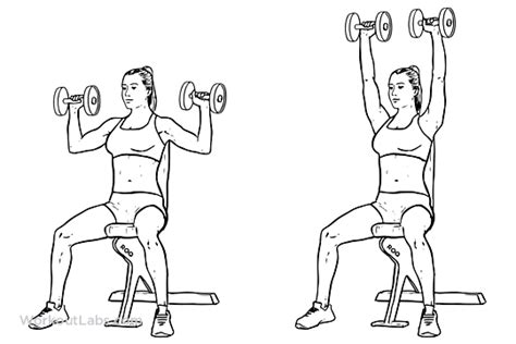 Dumbbell Overhead Shoulder Press Illustrated Exercise Guide Workoutlabs