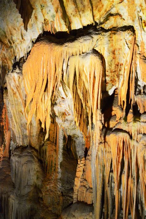 Postojna Cave Postojna Slovenia Cave Visiting Painting Beautiful