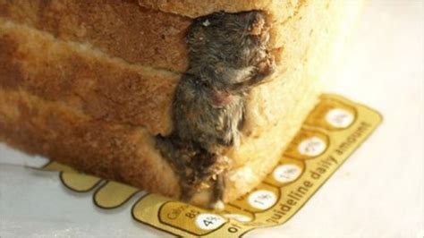 Firm Fined After Dead Mouse Found In Loaf Of Bread Bbc News