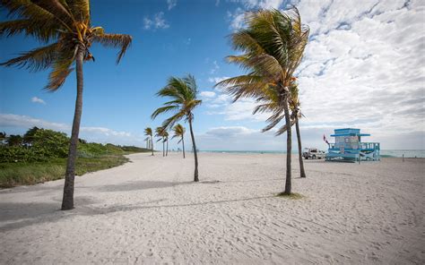 Haulover Park Beach Greater Miami And Miami Beach