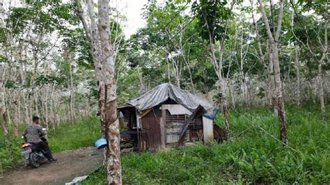 Nagih utang yang berlarut tanpa jalan keluar. Digerebek, Di Rumah Pria Ini Ditemukan Ribuan Pakaian Dalam Wanita Hasil Curian