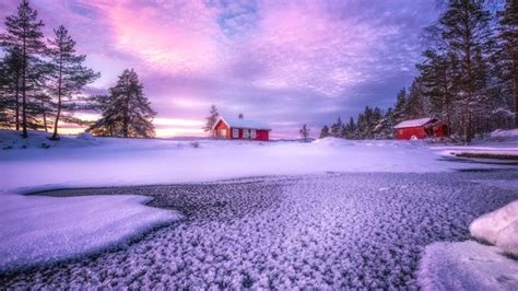 Ringerike Norway Hd Wallpapers Download Winter Wonderland Winter