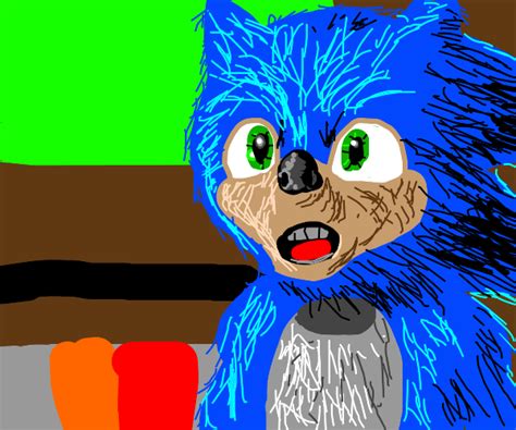 Sonic The Actual Real Life Hedgehog Drawception