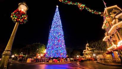 Christmas Tree Holiday Desktop Wallpapers Disneyland 1080p
