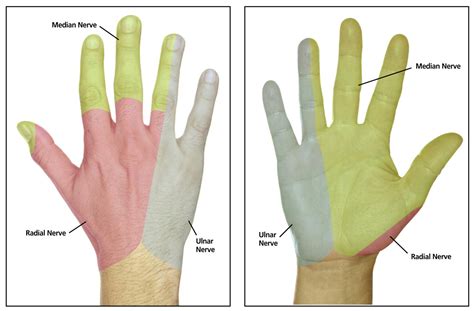 Osteopathic Manipulative Medicine For Carpal Tunnel Syndrome