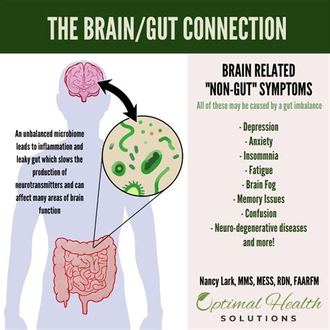 the mind gut connection lifestyle medicine and wellness optimal health solutions