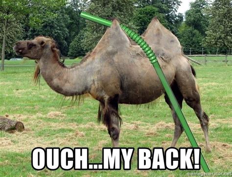 the straw that broke the camels back offensive humor christian humor ouch funny posts