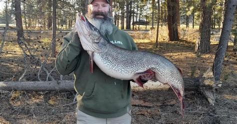 Over 40 Pound Northern Pike Breaks New State Record In Idaho
