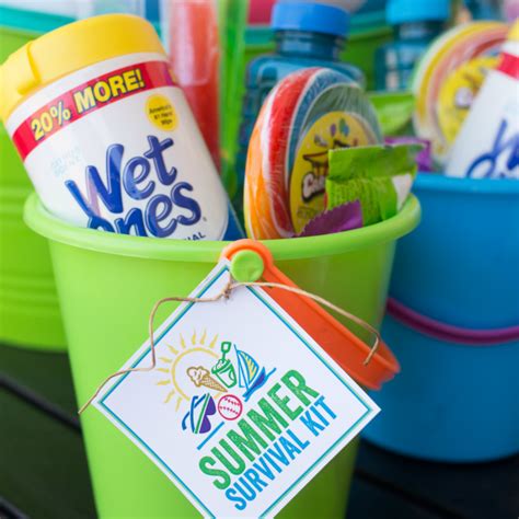 Summer Survival Kit With Wet Ones A Night Owl Blog