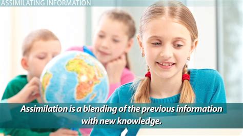 Assimilation And Piaget Definition Theory And Process Video And Lesson