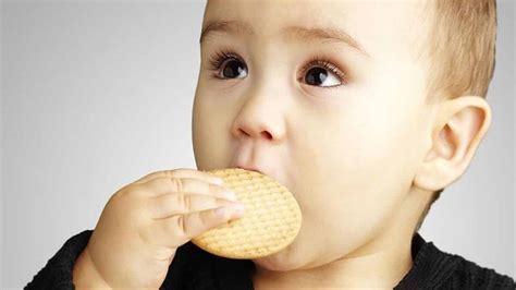 10 Merek Biskuit Bayi Yang Bagus Dan Aman