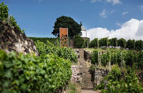 Übernachtung und reisebausteine suchen und direkt buchen. Sachsen - German Wines USA
